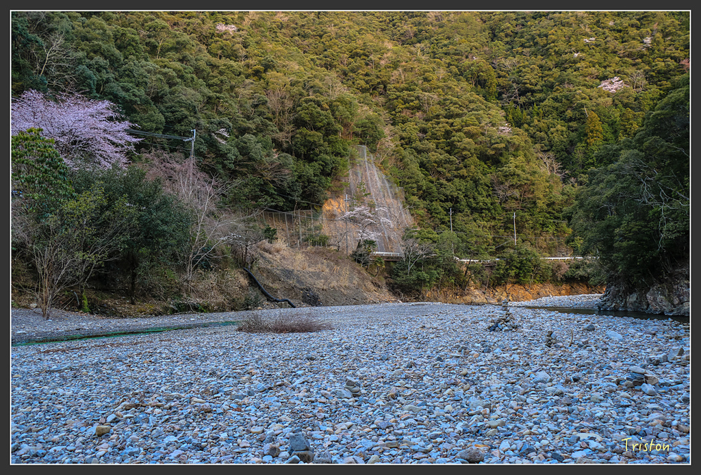 IMG_4621.jpg - 20160323 日本熊野古道健行