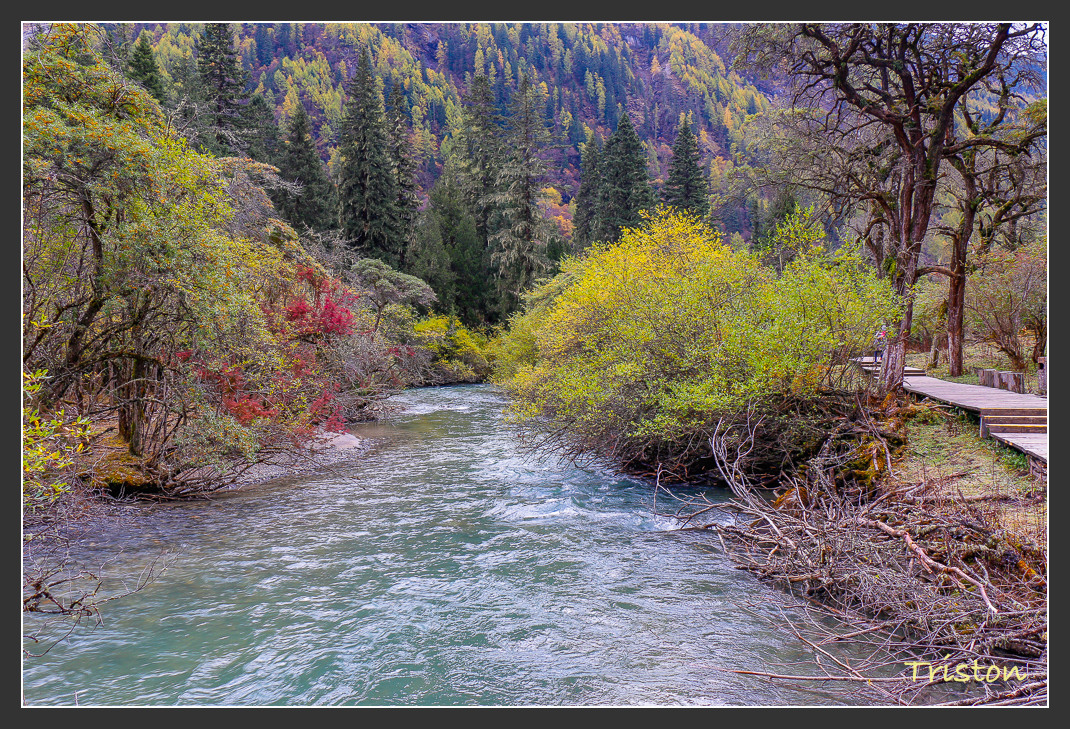 _MG_1031.jpg - 20161013 稻城亞丁