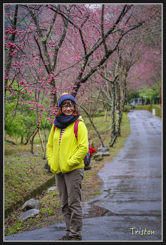 _H1A2006.jpg - 20170212 武界 萬大電廠 奧萬大