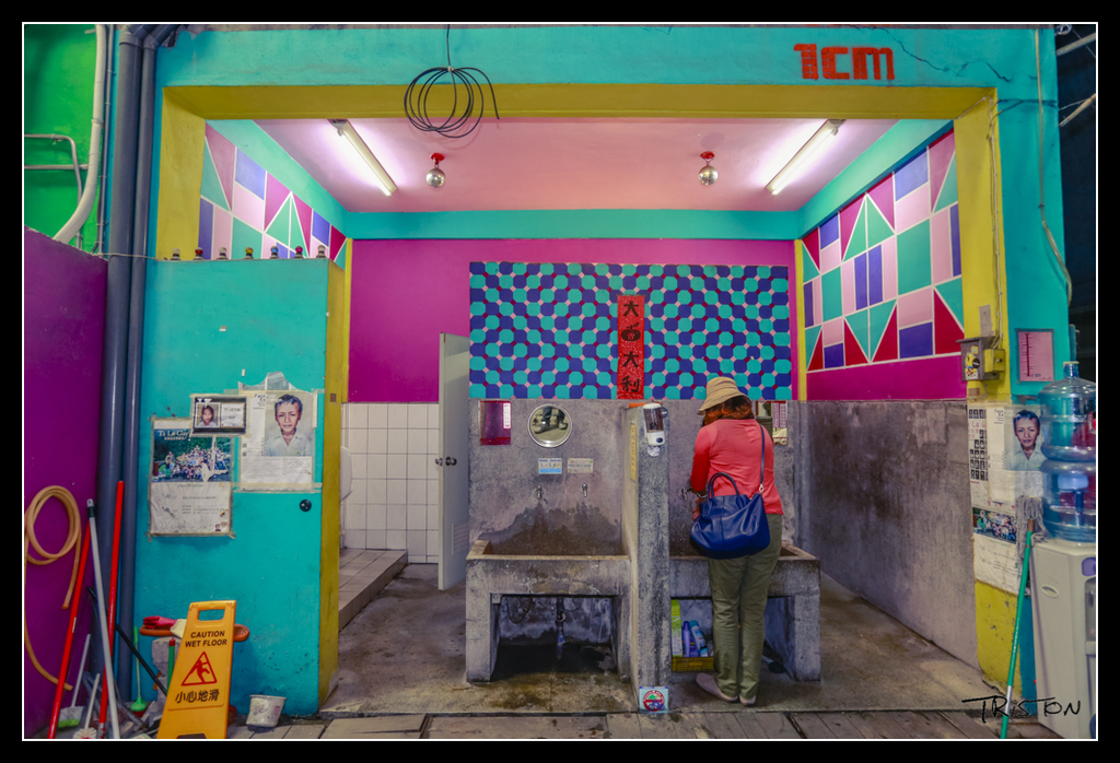 _H1A4248.jpg - 20170520 台中輕旅行－審記新村、忠信市場、國家歌劇院