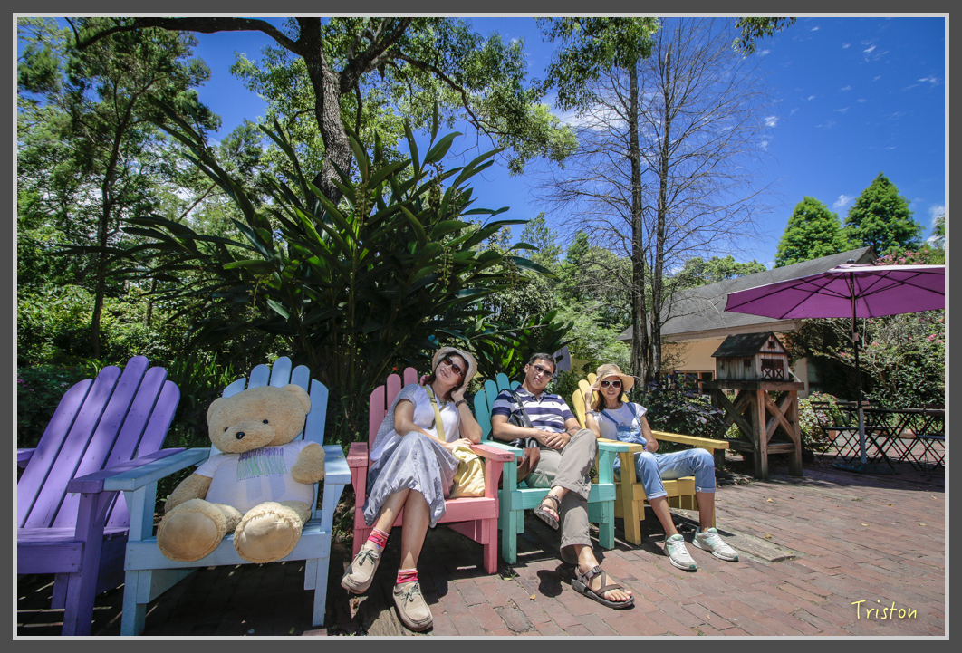 _MG_8849.jpg - 20160712 苗栗薰衣草森林