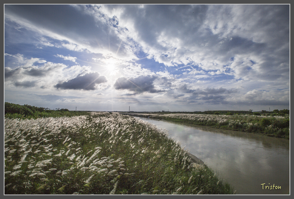 jh1a9904_29697922595_o.jpg - 20160929 八掌溪菅芒花+奇美博物館夕陽