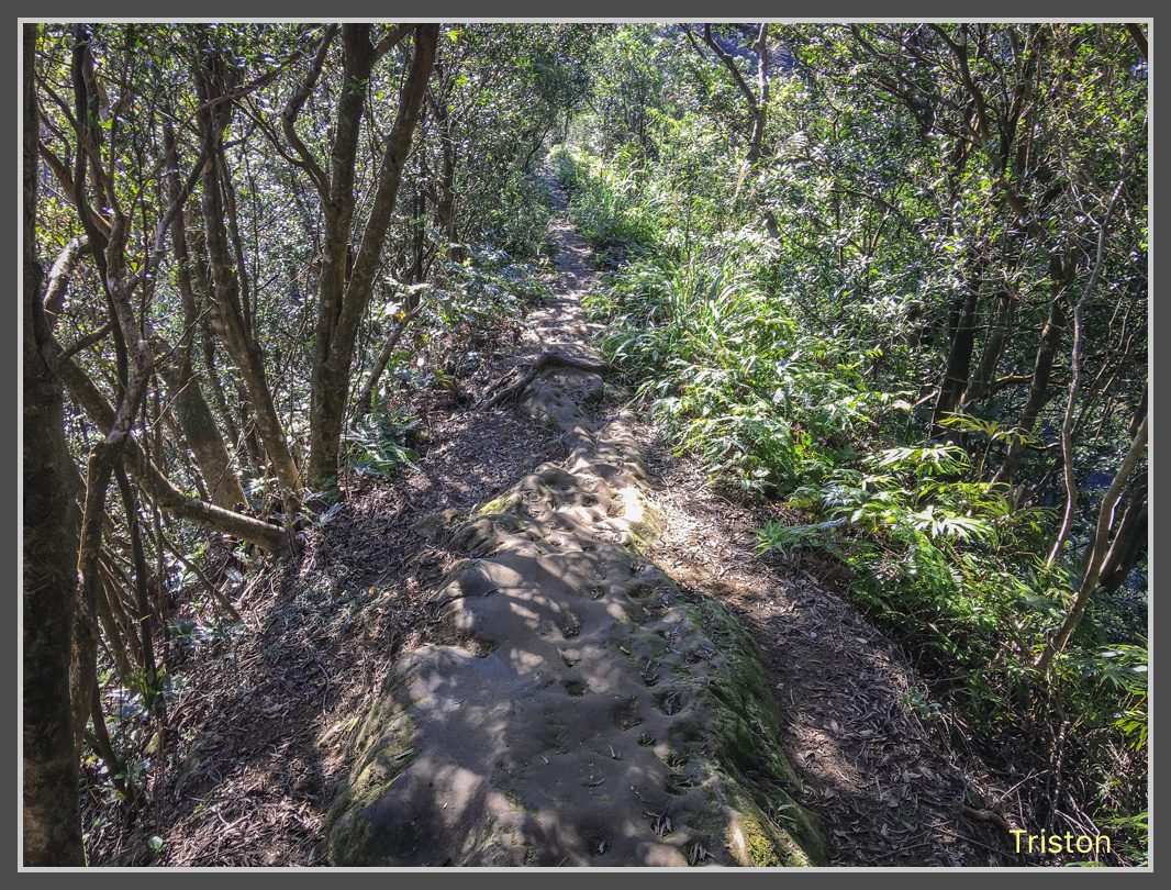 IMG_2936.jpg - 201161113 皇帝殿東西峰