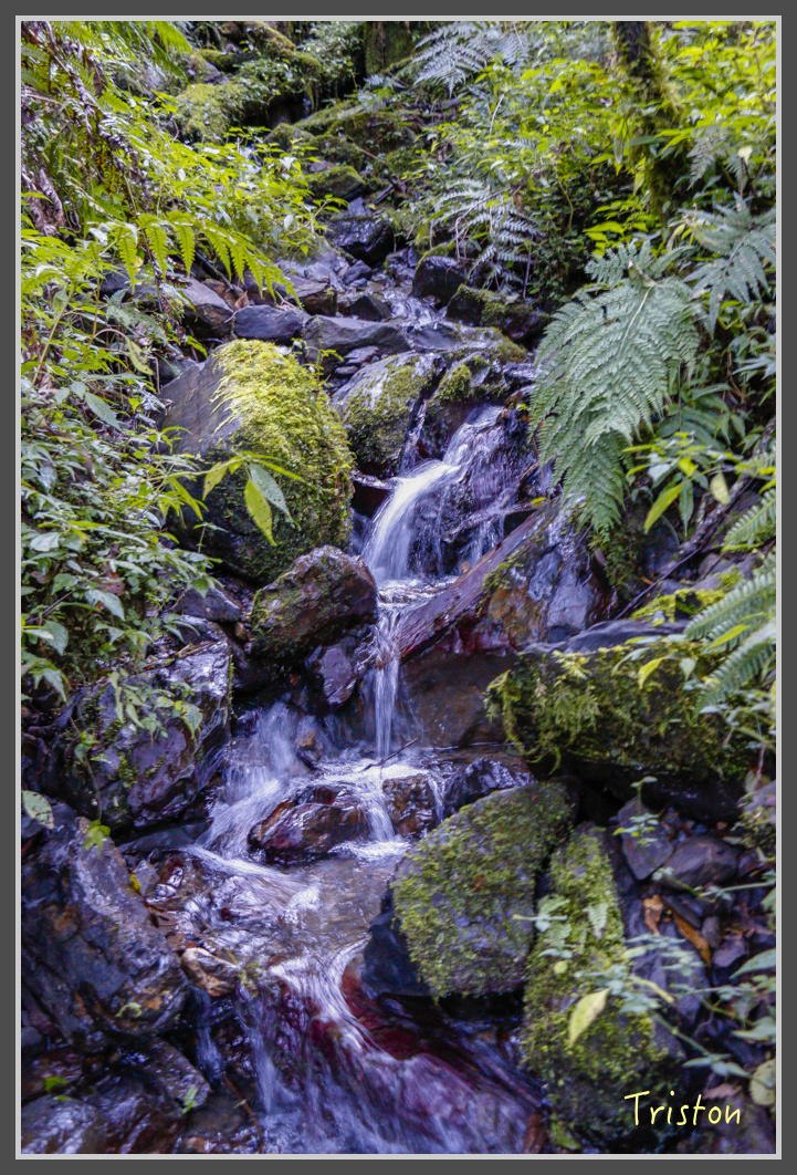 _MG_0150.jpg - 20161203 鎮西堡