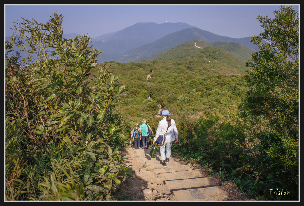 00153.jpg - 20170107 香港健行