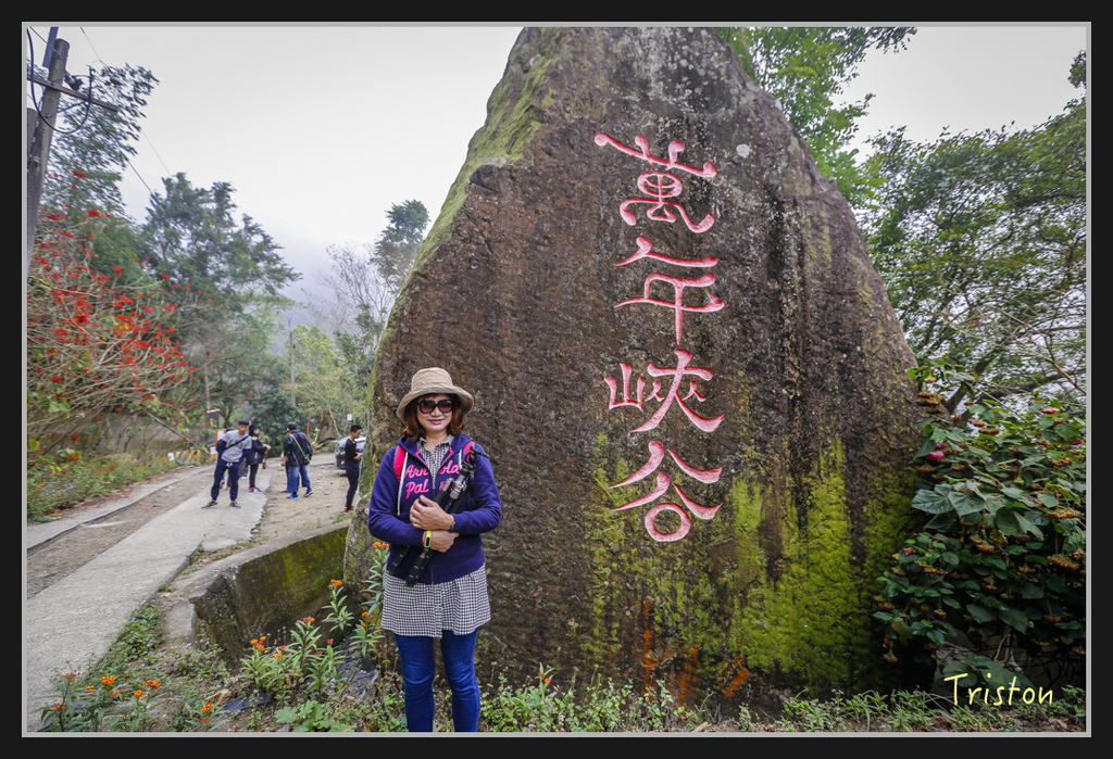 _H1A2438.jpg - 20170311 草嶺