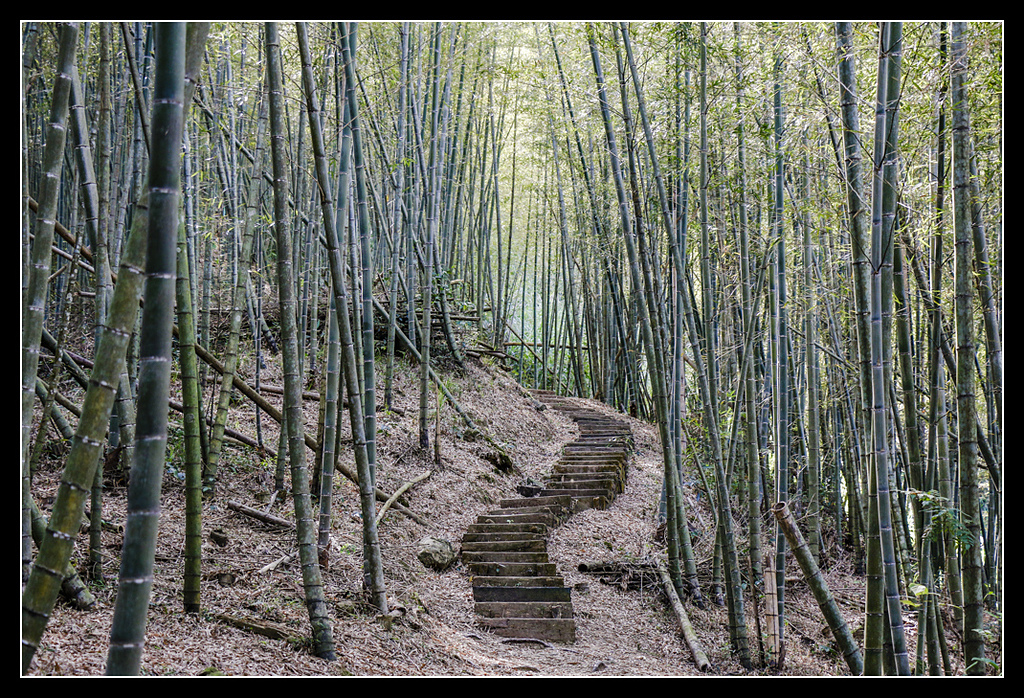 _MG_0013.jpg - 20170408 瑞太古道