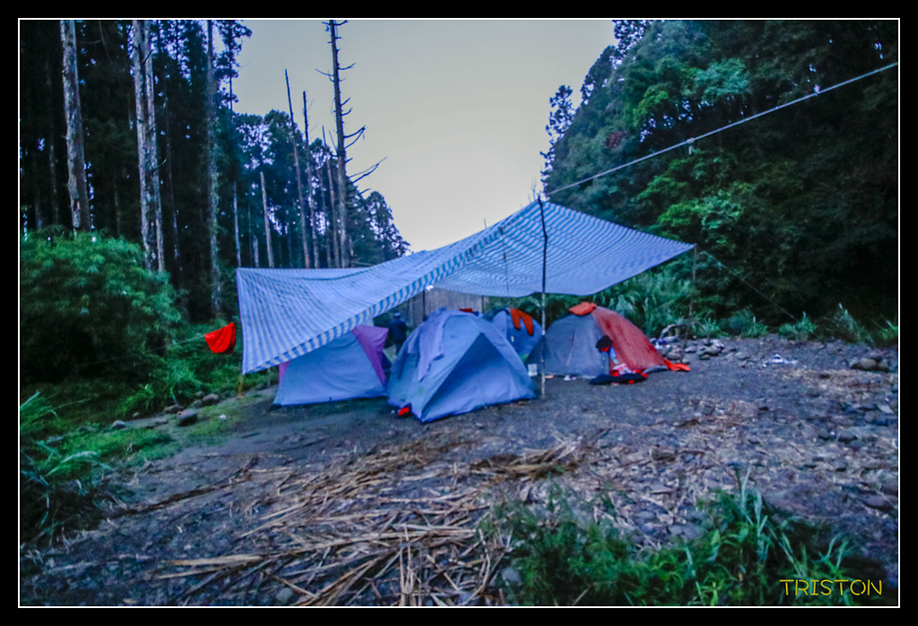 _MG_0212.jpg - 20170723 水漾森林