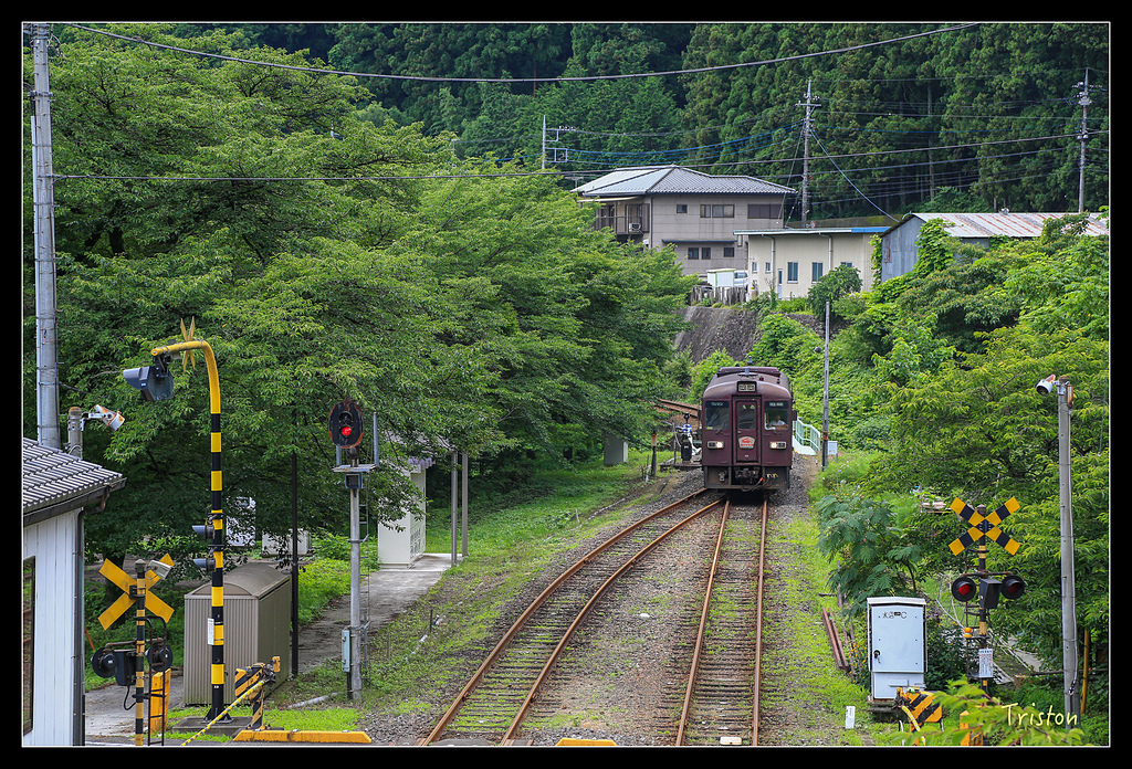 JH1A9745.jpg - 20150628 東京輕井澤日光