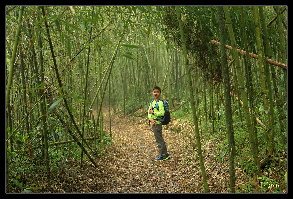 JH1A9747.jpg - 20150920 石棹,霧之道 茶之道 雲之道