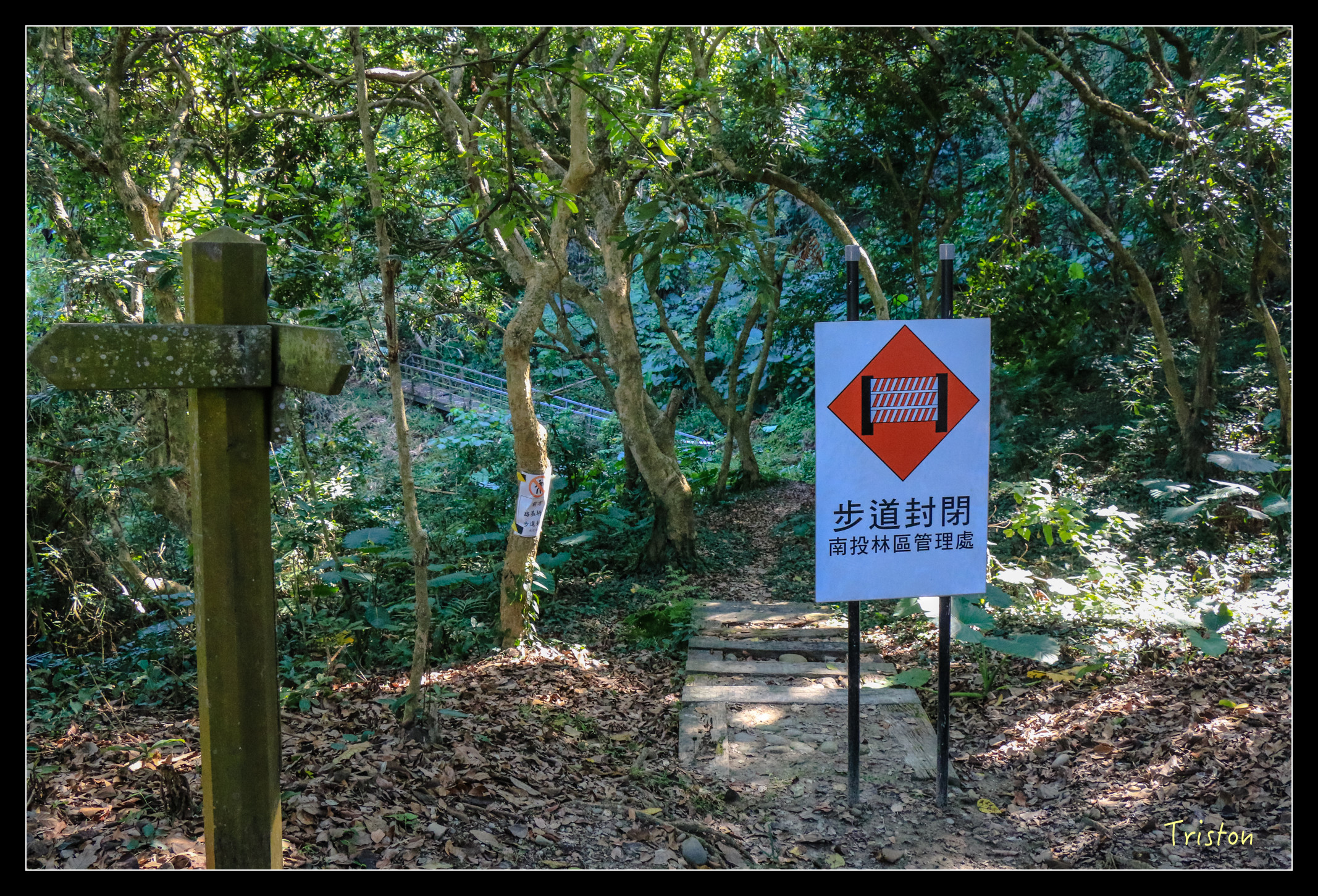IMG_0379.jpg - 20151214 林內龍過脈步道