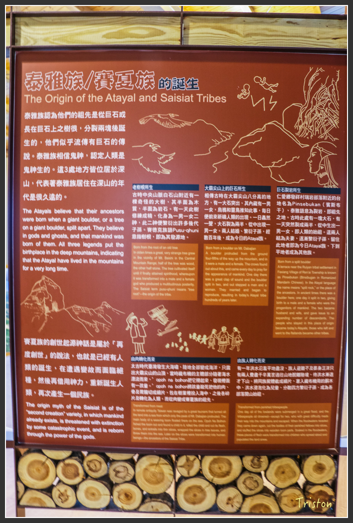 IMG_3250.jpg - 20160227 觀霧森林步道