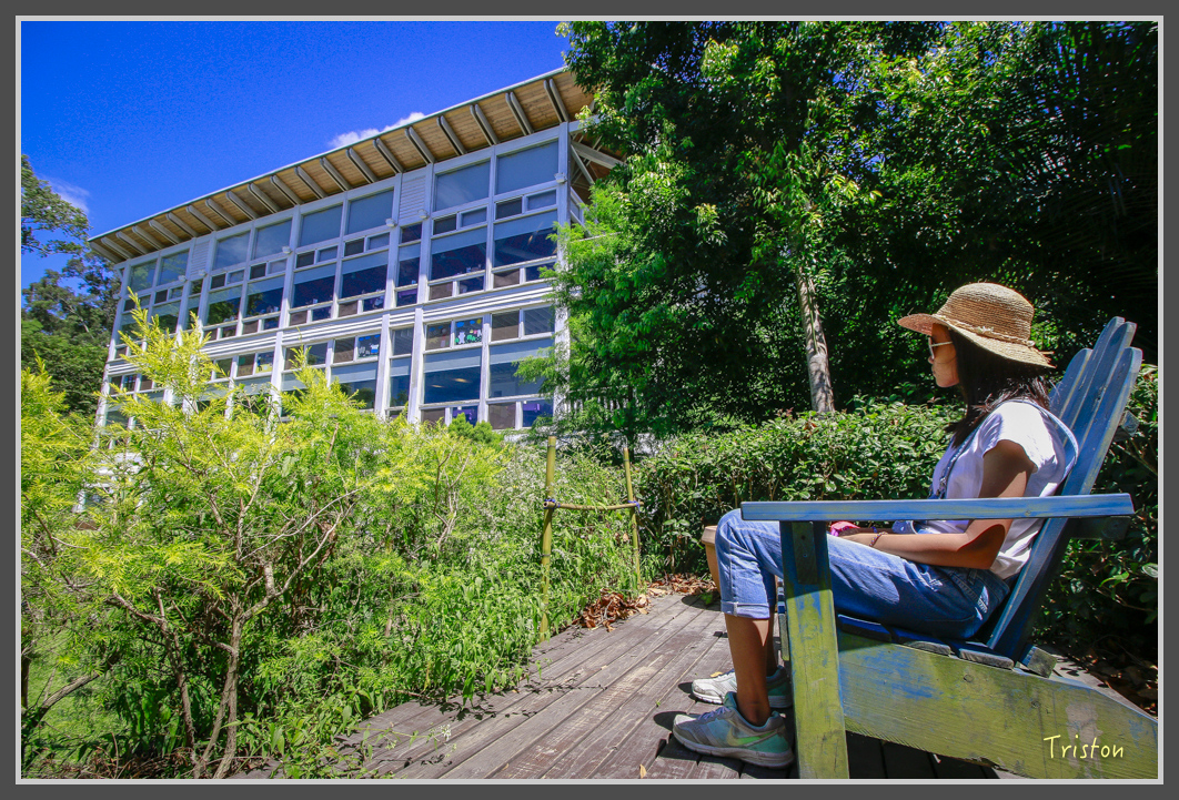 _MG_8876.jpg - 20160712 苗栗薰衣草森林