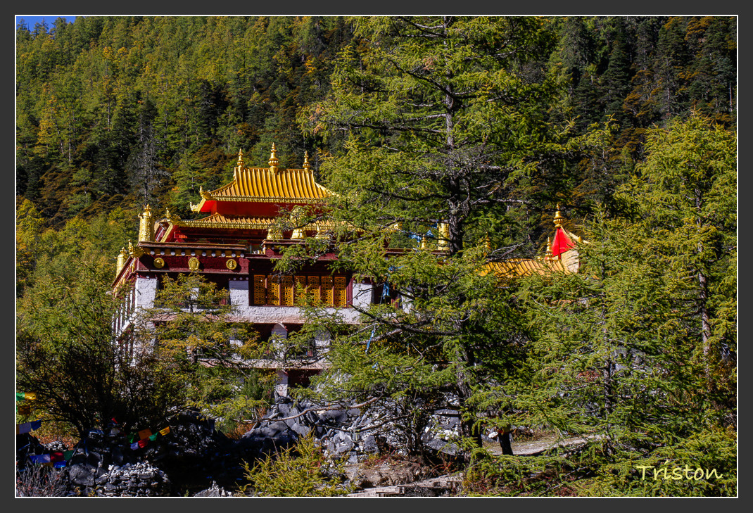 _MG_1657.jpg - 20161013 稻城亞丁