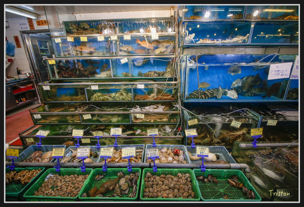 0070.jpg - 20170107 香港健行