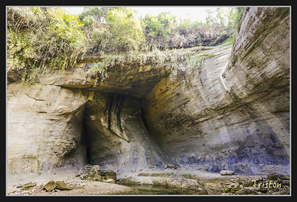 _H1A2728.jpg - 20170325 梅嶺蝙蝠洞、噍吧年事件紀念園區