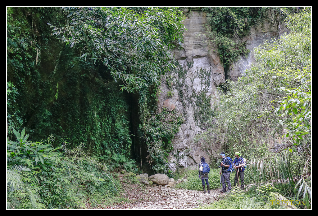 _MG_0009.jpg - 20170723 水漾森林