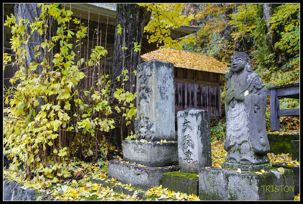 _H1A0725.jpg - 20171103 日本只見線、會津若松五色沼、昭和記念公園賞紅葉