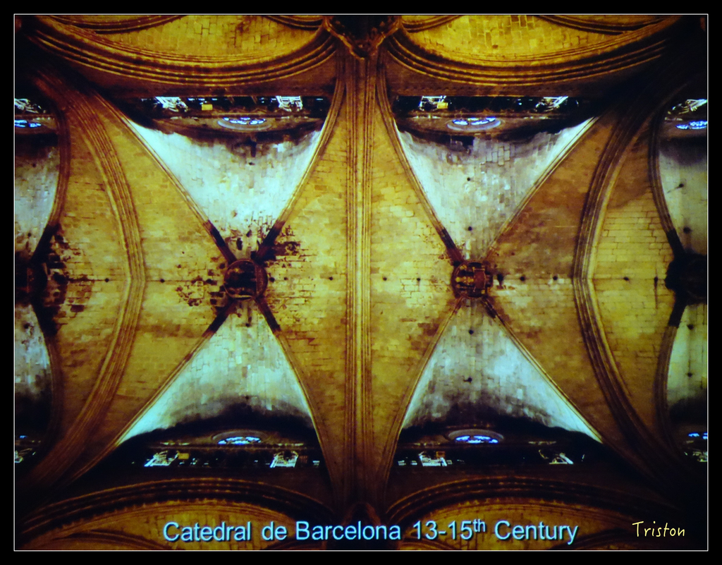 DSC00075.jpg - 20151030 建築美人課程-巴西里卡