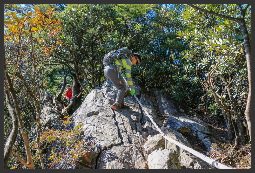 IMG_0568.jpg - 20151219 鳶嘴稍來山、小雪山林道
