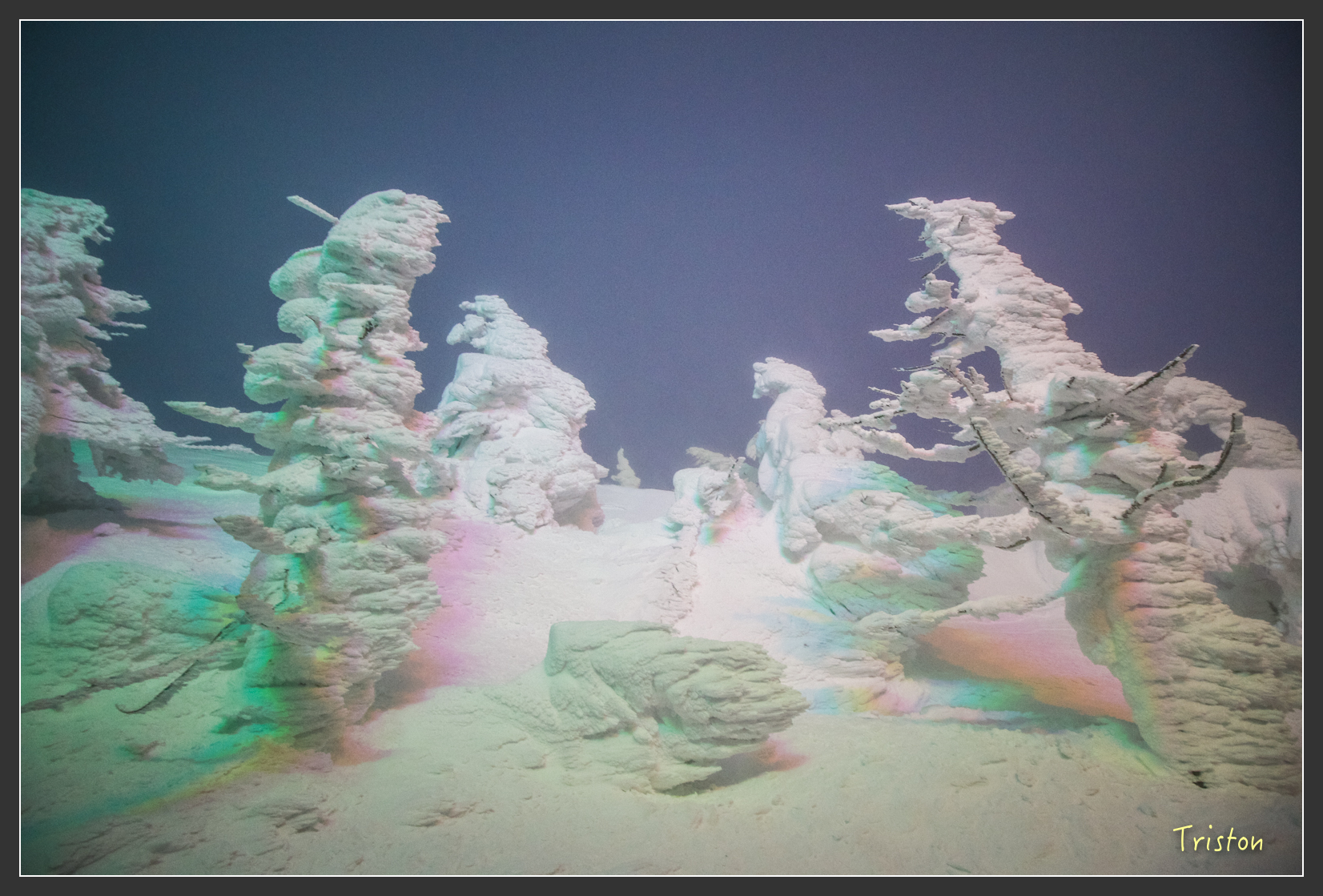 2016ZAO-00914.jpg - 20160131 日本藏王溫泉滑雪親子行