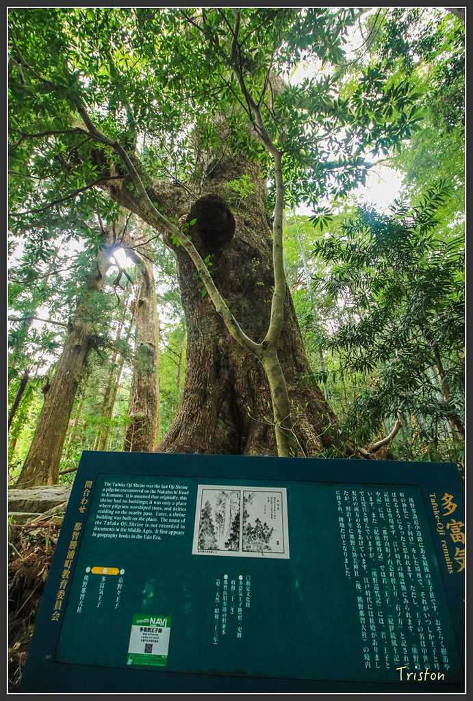 IMG_5738.jpg - 20160323 日本熊野古道健行