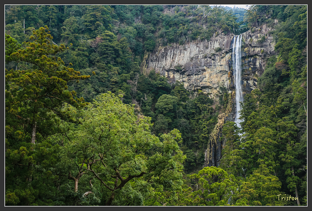 IMG_5691.jpg - 20160323 日本熊野古道健行