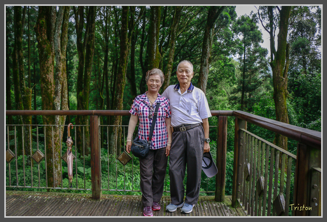 _MG_9449.jpg - 20160724 奮起湖阿里山森鐵一日遊
