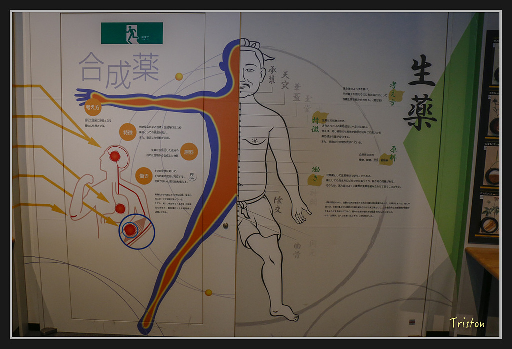 Canon-540.jpg - 20170120 大阪神戶親子遊 