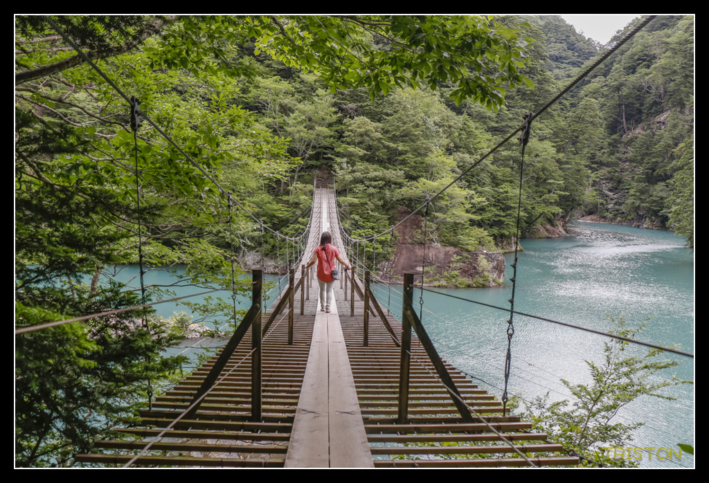 _MG_0760.jpg - 20170702 靜岡東海道之旅