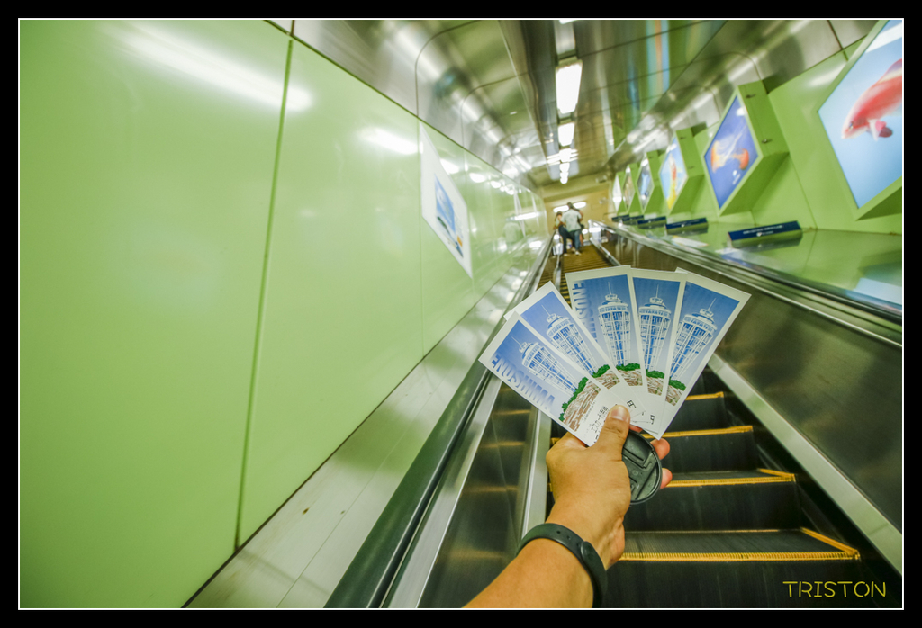 _MG_1637.jpg - 20170702 靜岡東海道之旅