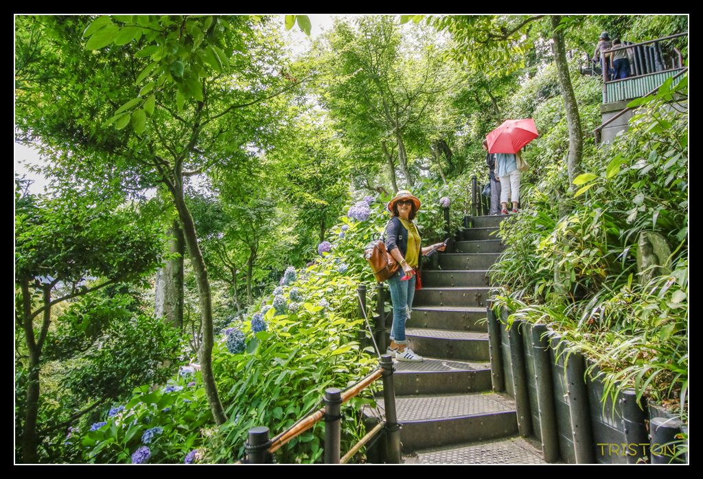 _MG_1471.jpg - 20170702 靜岡東海道之旅