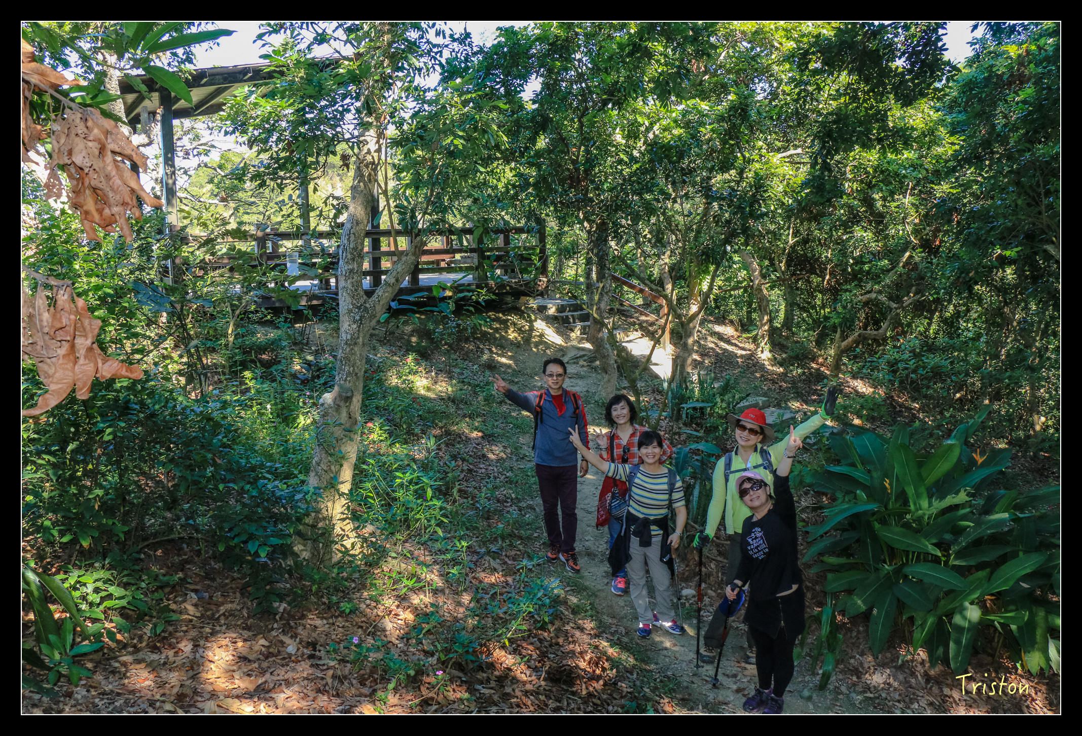 IMG_0382.jpg - 20151214 林內龍過脈步道