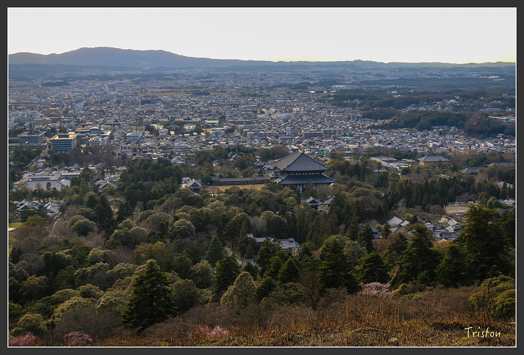 IMG_4165.jpg - 20160323 日本熊野古道健行