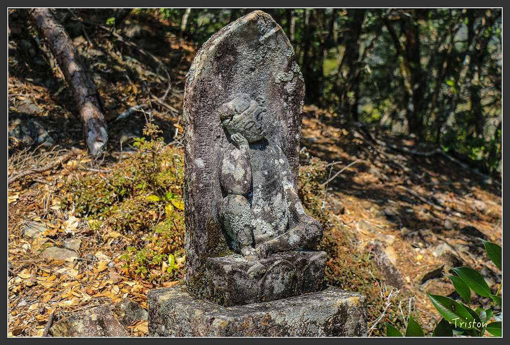 IMG_4799.jpg - 20160323 日本熊野古道健行