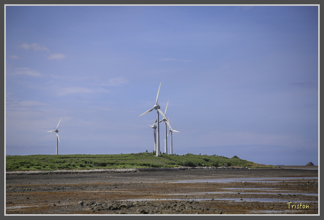 JH1A0842.jpg - 20160701 澎湖