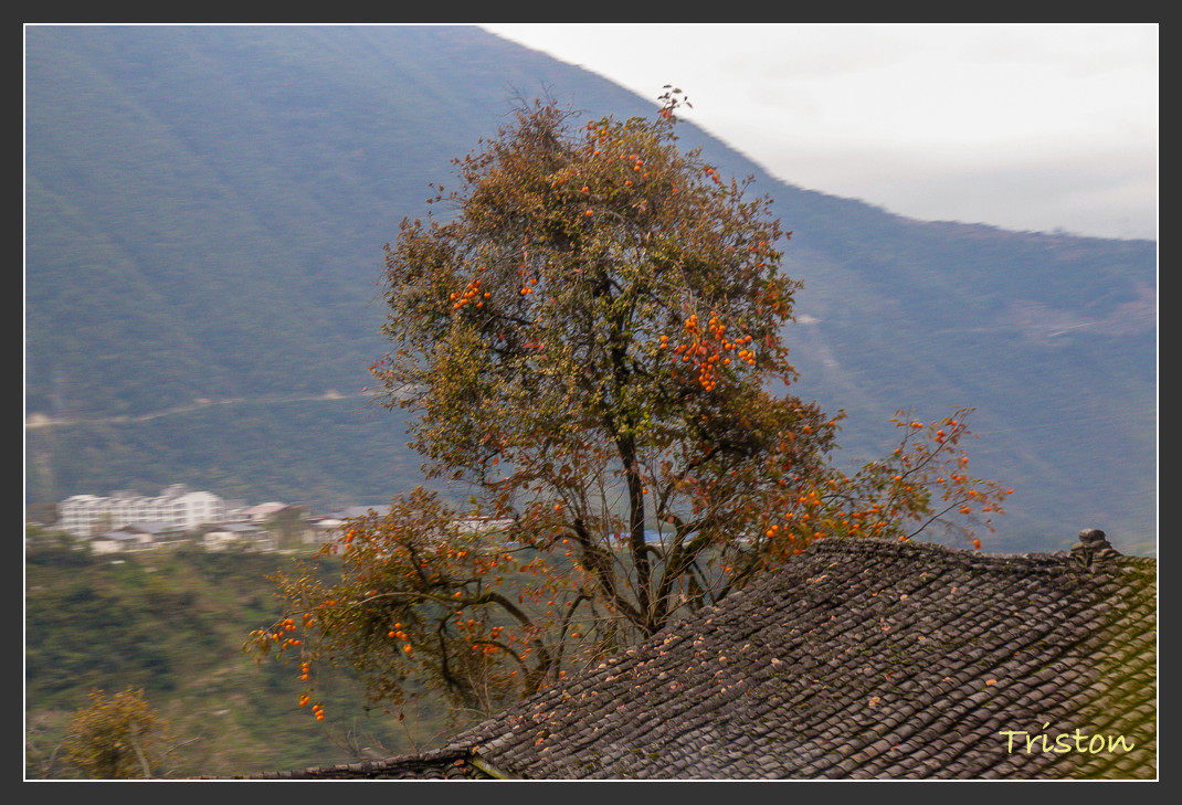 _MG_2755.jpg - 20161013 稻城亞丁