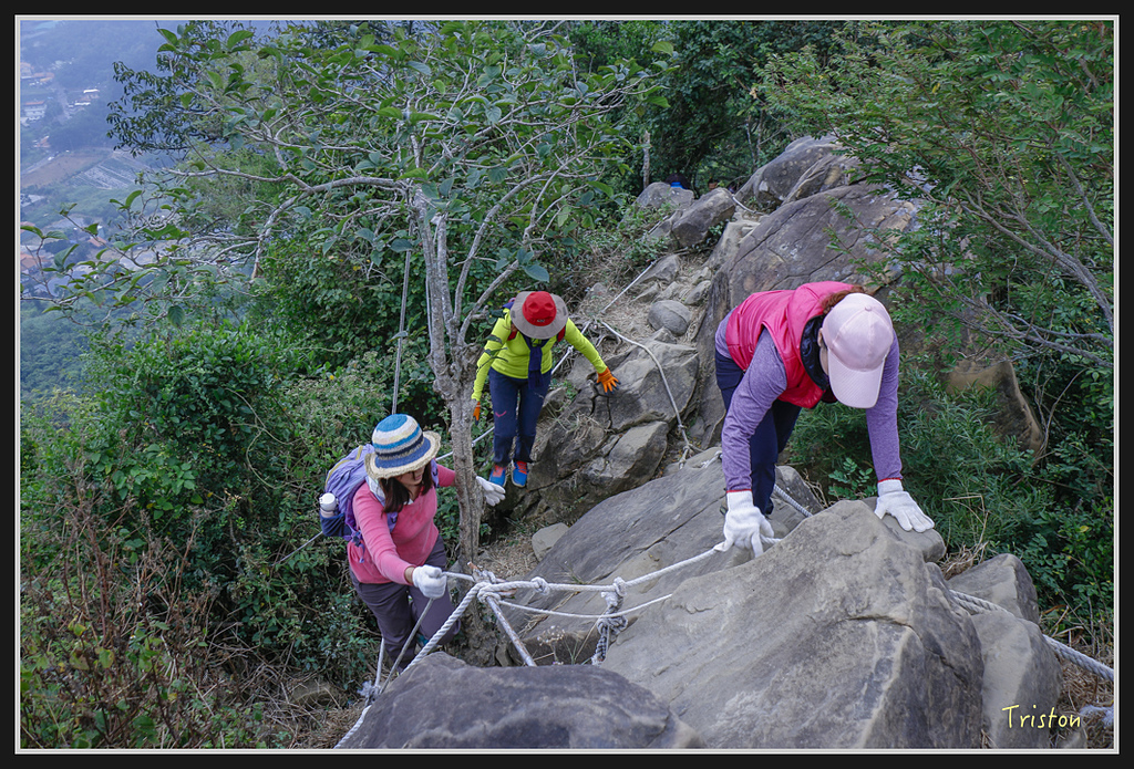 _MG_0675.jpg - 20170114 旗尾山