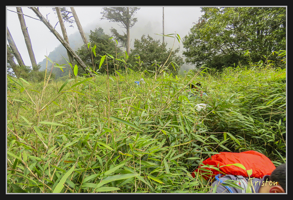 IMG_1415.jpg - 20170318 守關山、守城大山