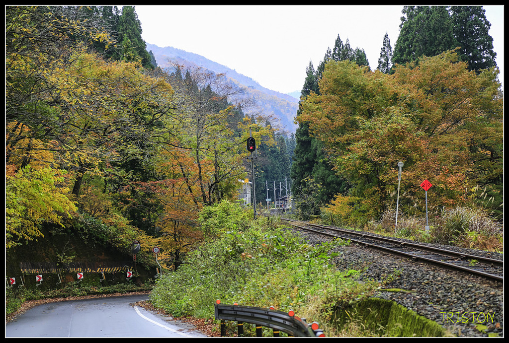 _H1A0648.jpg - 20171103 日本只見線、會津若松五色沼、昭和記念公園賞紅葉
