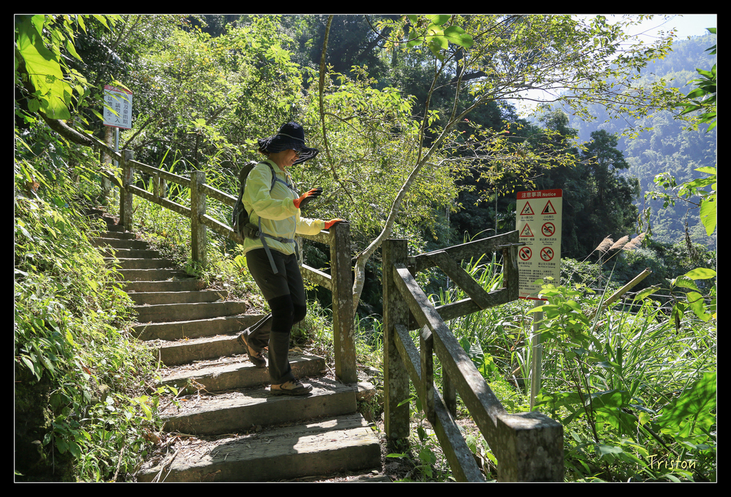 JH1A9834.jpg - 20151005 竹坑溪步道