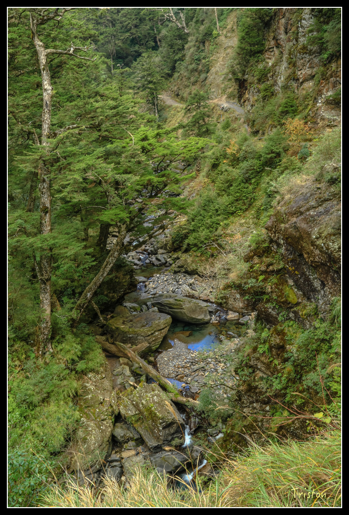 JH1A0781.jpg - 20151205 合歡溪步道、108K楓之谷