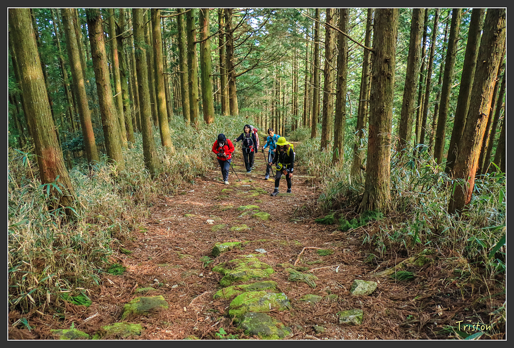 IMG_5409.jpg - 20160323 日本熊野古道健行