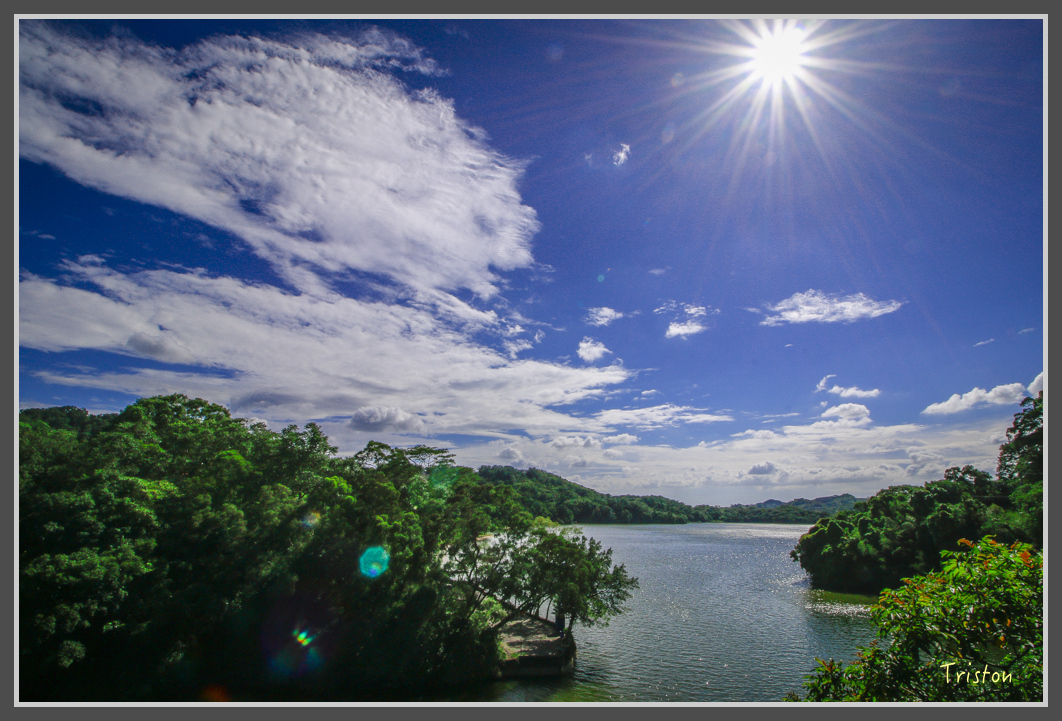 _MG_8910.jpg - 20160712 苗栗薰衣草森林