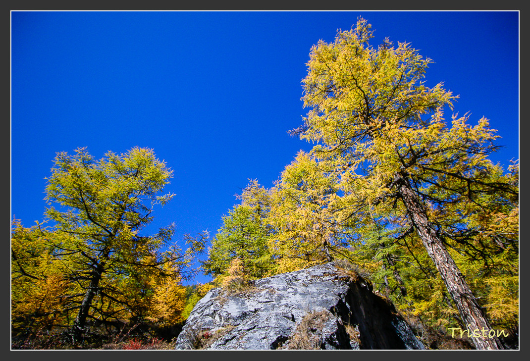 _MG_2122.jpg - 20161013 稻城亞丁