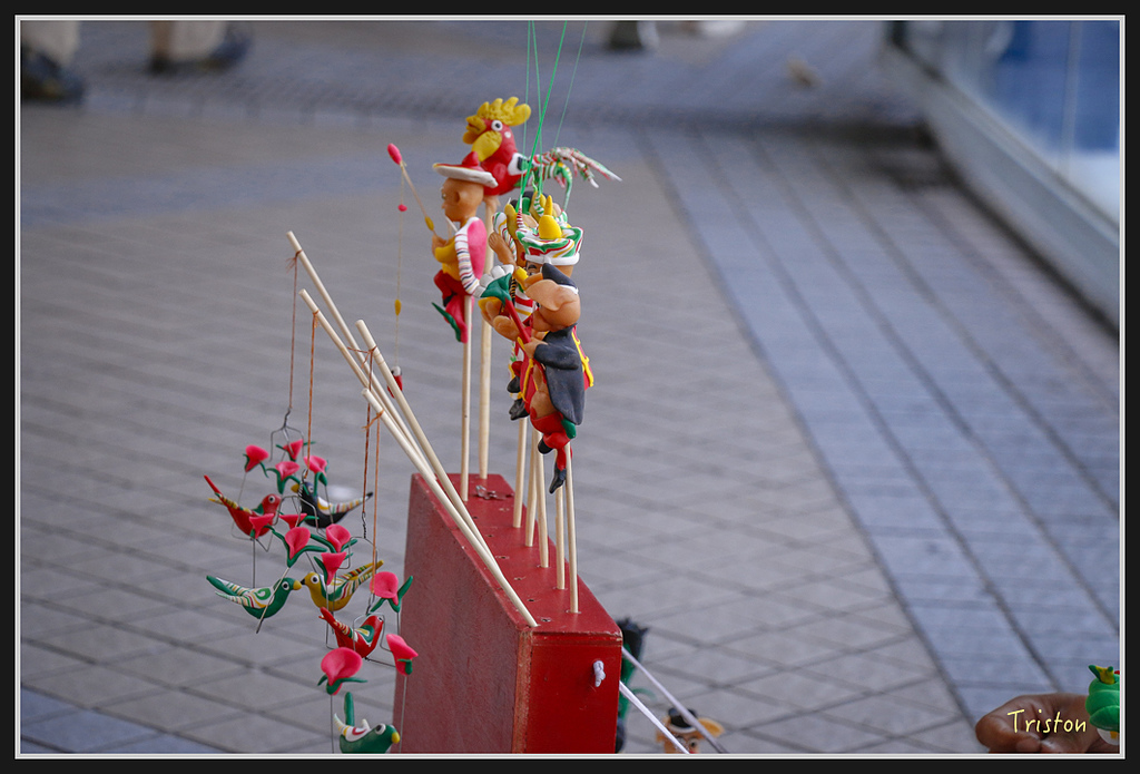 00226.jpg - 20170107 香港健行