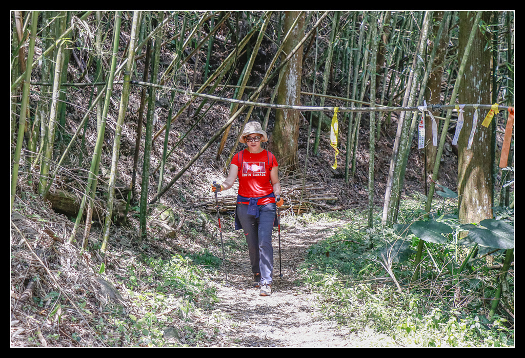_MG_0100.jpg - 20170408 瑞太古道