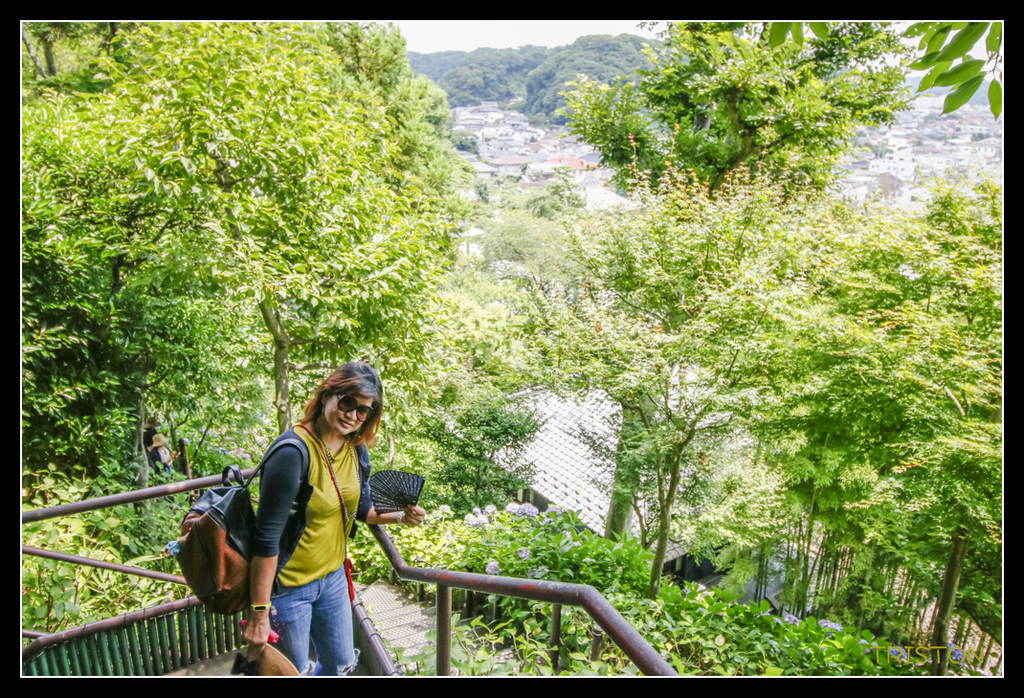 _MG_1473.jpg - 20170702 靜岡東海道之旅