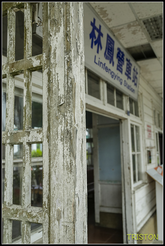 _H1A8605.jpg - 20171008 林鳳營車站