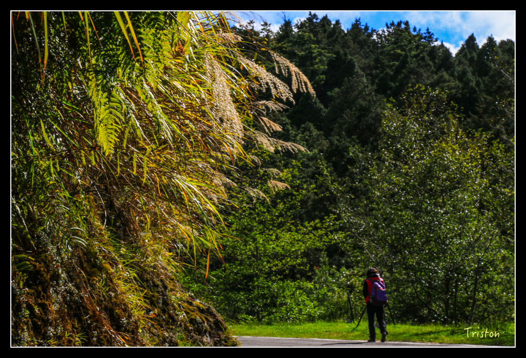 IMG_9217.jpg - 20151130 小笠原山、對高岳